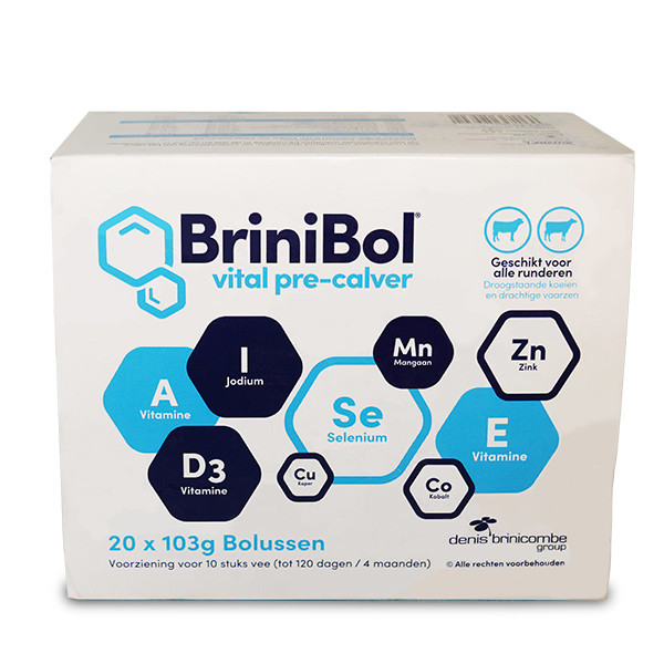 BriniBol-pre-calver