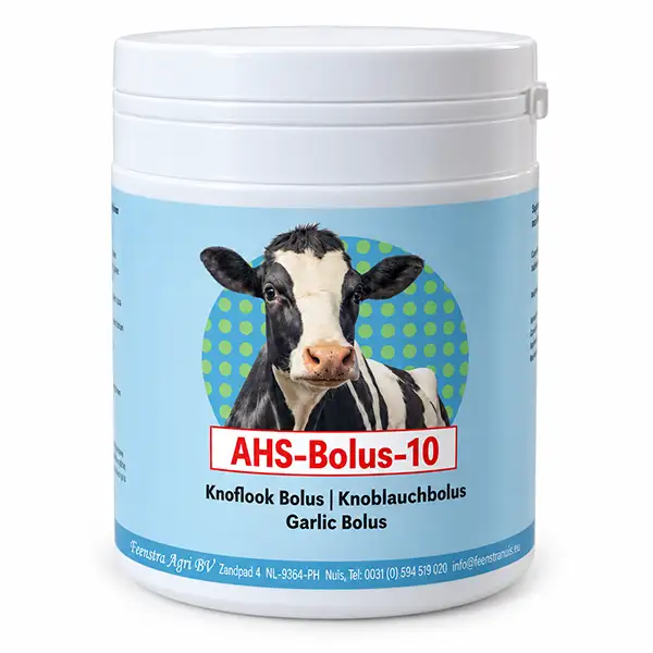 AHS-10 Knoblauchbolus